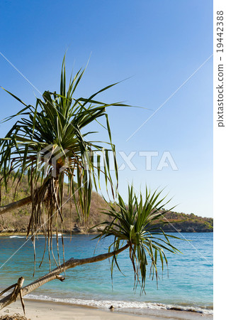 famous Crystal beach at Nusa Penida island famous Crystal beach at Nusa Penida island 19442388
