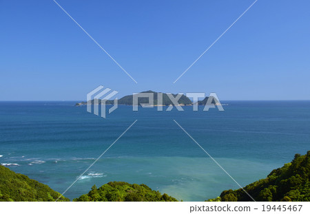 Muki Oshima 19445467