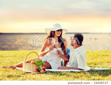 happy couple drinking champagne on picnic 19446537