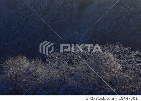 Winter scene of Kitakami River 19447301