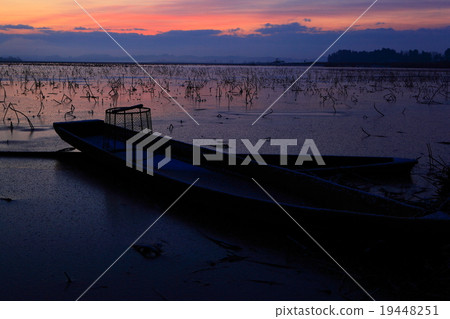 宮城縣栗原市伊豆沼的早晨 宮城縣栗原市伊豆沼的早晨 19448251