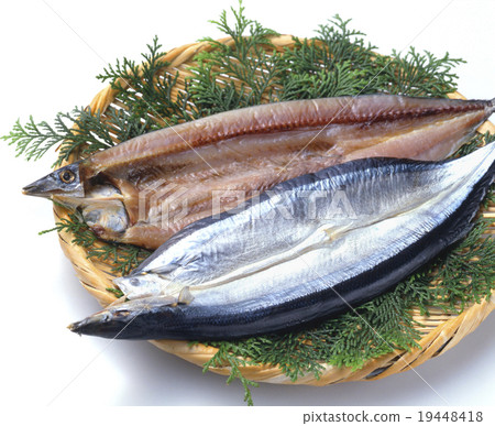 開秋刀魚 開秋刀魚 19448418