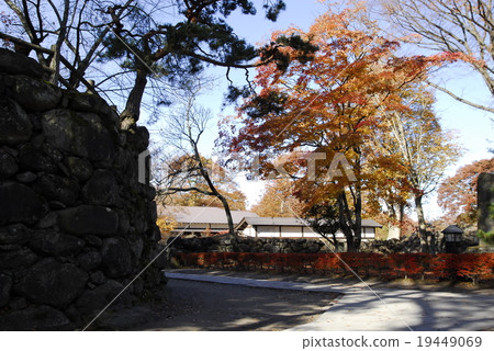 老式的花園 老式的花園 19449069