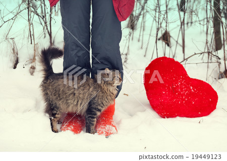 Cat rubbing against female legs in the snow 19449123
