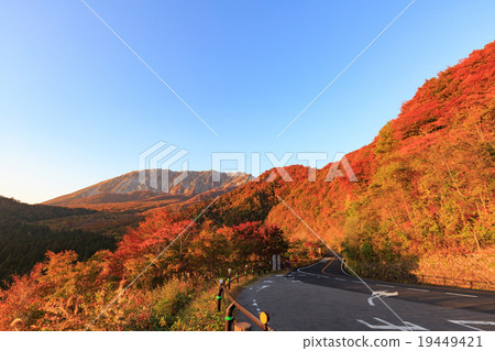 Oyama來自鑰匙圈 Oyama來自鑰匙圈 19449421