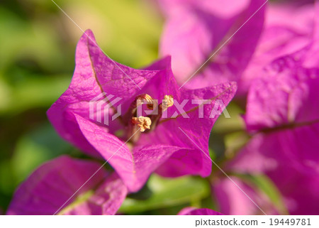 spring climate spring climate 19449781