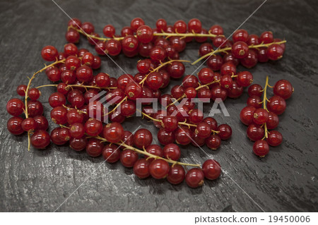 Bright juicy fresh branch of red currant close up 19450006
