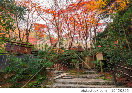 Late autumn of Gioji Late autumn of Gioji 19450895