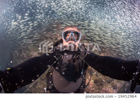 beautiful diver in fish and corals reef background 19452964