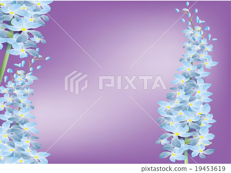 Delphinium flower blue color on purple,vector 19453619