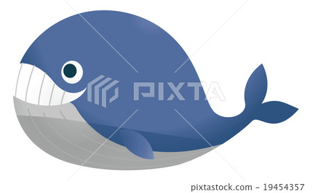 A whale 19454357