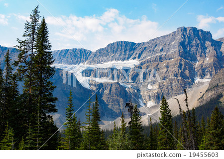 Crowfoot Glacier, Banff National Park, Canada 19455603