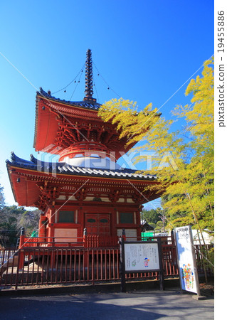 Kawagoe Daisuke Kitado 19455886