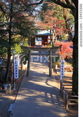 川越大紀元 19455888