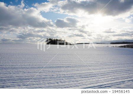 雪域 雪域 19456145