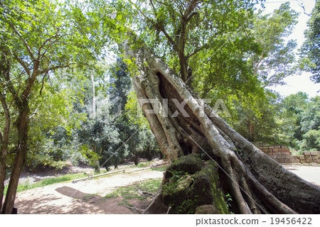柬埔寨暹粒塔帕拉姆遺址 柬埔寨暹粒塔帕拉姆遺址 19456422