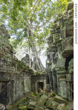 柬埔寨暹粒塔帕拉姆遺址 柬埔寨暹粒塔帕拉姆遺址 19456428