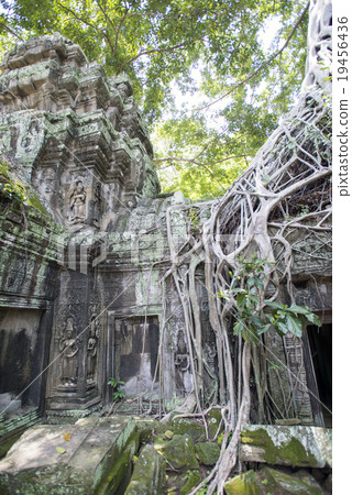Cambodia Siem Reap Taaplam ruins Cambodia Siem Reap Taaplam ruins 19456436