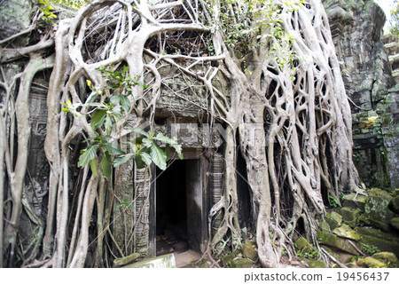 Cambodia Siem Reap Taaplam ruins 19456437
