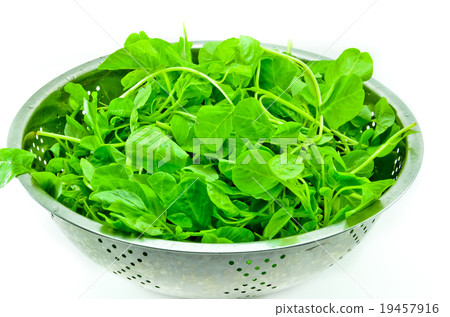 vegetable 19457916