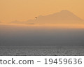 雲海和鳥類 19459636
