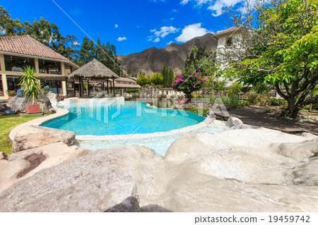 pool in the garden 19459742