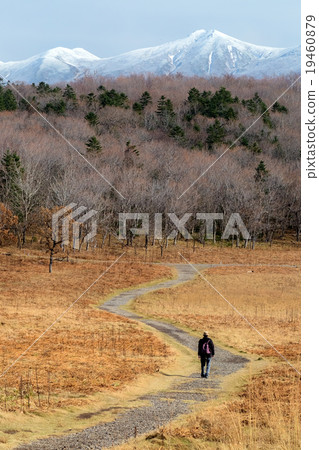 Autumn landscape of Frepe waterfall in Shiretoko Peninsula, Hokkaido, Japan 19460879