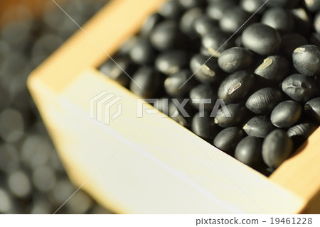 黑豆 黑豆 19461228