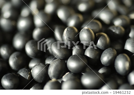 黑豆 黑豆 19461232