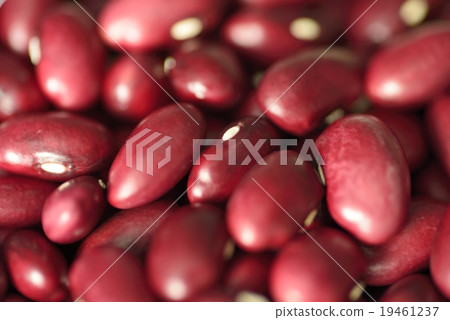 金豆 19461237