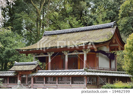 Daigoji Temple Kiyotaki Miyamoto Daigoji Temple Kiyotaki Miyamoto 19462599