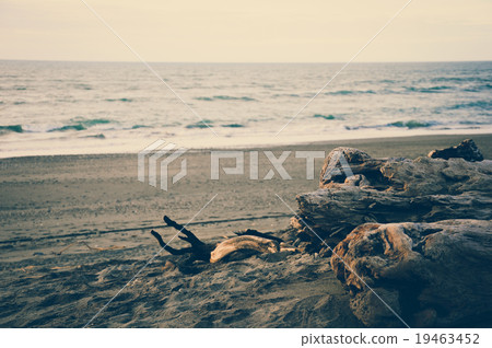 Sunset at Hokitika Beach with Dead Wood Log 19463452