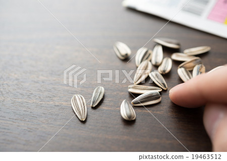 向日葵種子 19463512