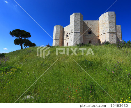 Castel del Monte, Apulia, Italy 19463680