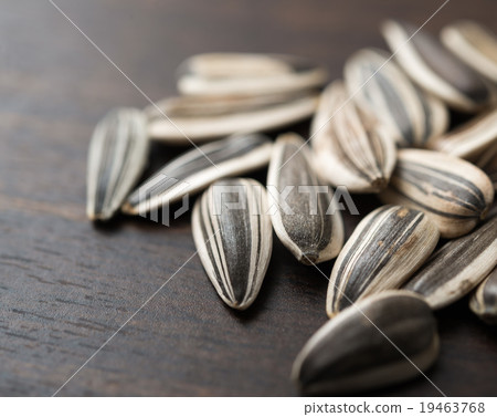 向日葵種子 19463768