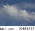 白雲 19463852