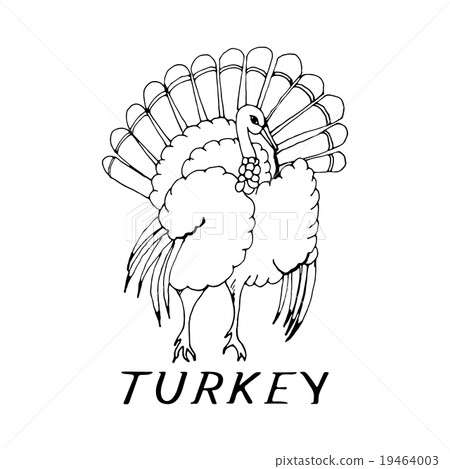 hand draw a turkey 19464003