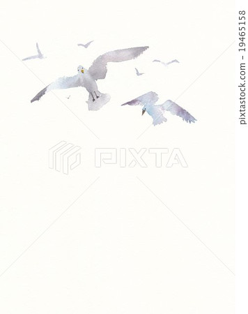 Kamen illustration 19465158