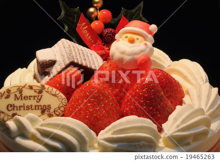 Christmas cake 19465263