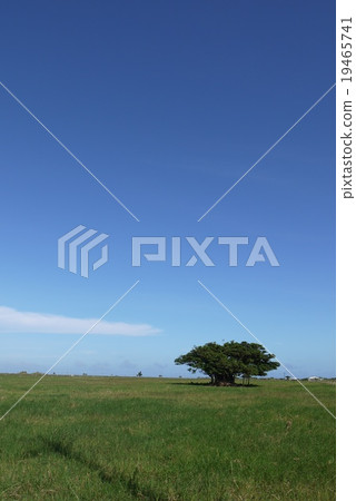 Kuroshima ~ heartisland ~ Kuroshima ~ heartisland ~ 19465741