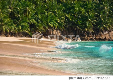 Tropical beach at Mahe island Seychelles 19465842