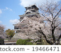 Kumamoto Castle  19466471
