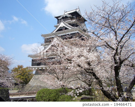 Kumamoto Castle  19466471