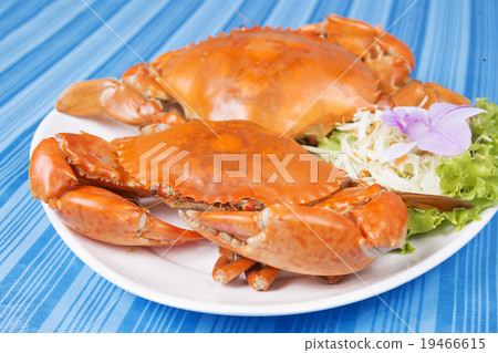 Hot Steam Big Crab 19466615