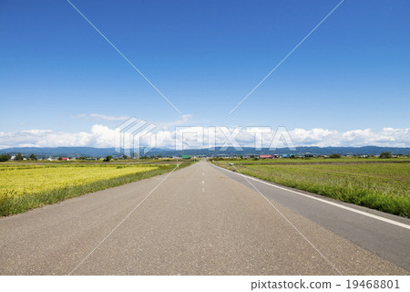 本莊(北海道) 本莊(北海道) 19468801