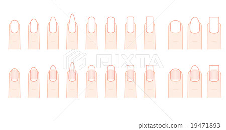 Nail shape of the hand nail Nail shape of the hand nail 19471893