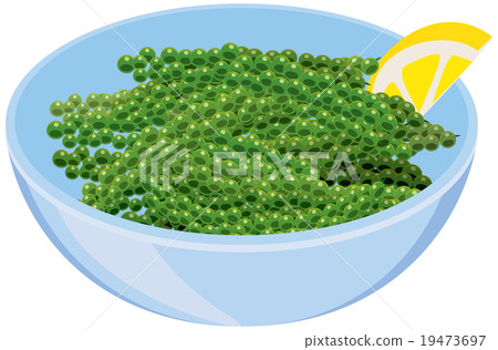 Image illustration of fresh sea grapes 19473697
