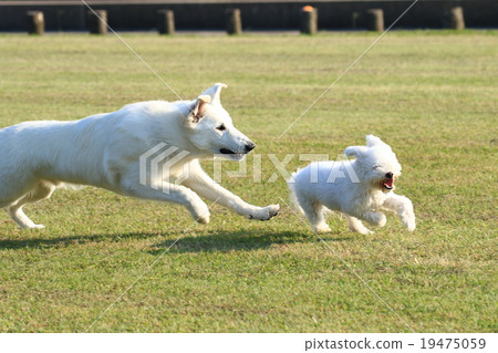 等等,等等〜! ! ! 等等,等等〜! ! ! 19475059