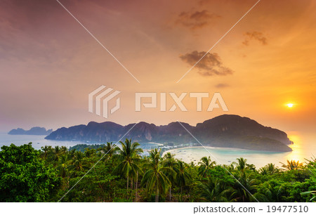 Phi phi island, Krabi, Southern of Thailand 19477510