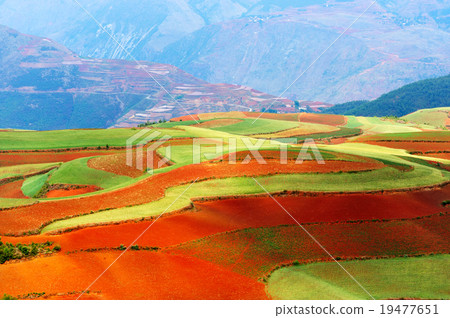 Beautiful fields landscapes Beautiful fields landscapes 19477651